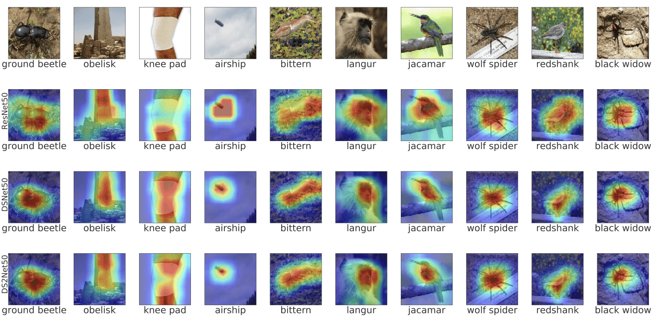 Illustration for Resnet or densenet? introducing dense shortcuts to resnet
