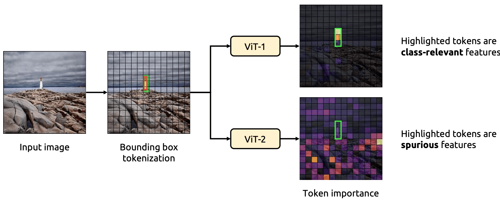 Illustration for Token-Based Detection of Spurious Correlations in Vision Transformers